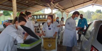 Vacinação contra a covid-19 continua