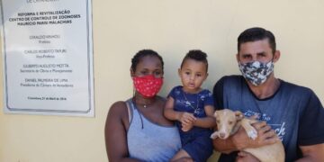 Prefeitura disponibiliza book de animais e compartilha experiências de famílias pós-adoção na quarentena