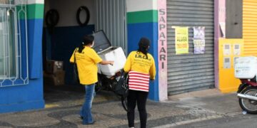 Catanduva registra declínio no índice larvário do Aedes