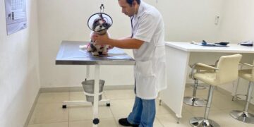 Saúde abre nova rodada de agendamento no Mutirão da Castração Animal no sábado