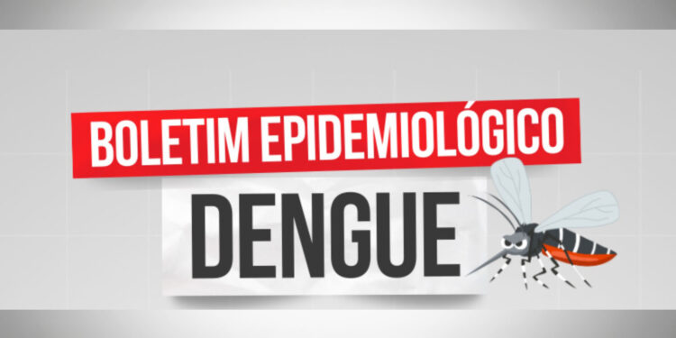 Atualização do Boletim dos Casos de Dengue