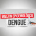Atualização do Boletim dos Casos de Dengue
