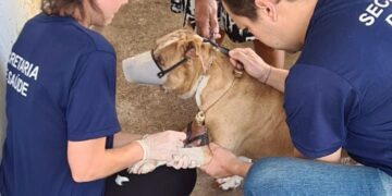 Atenção à Leishmaniose: Vigilância em Zoonoses realiza trabalho em campo