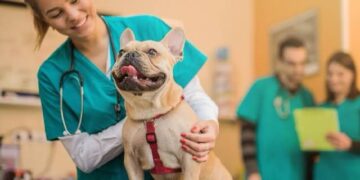 Nova etapa do Mutirão de Castração: Secretaria de Saúde realizará agendamentos neste sábado, dia 05