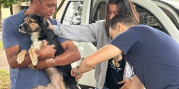 Vigilância em Zoonoses realiza vacinação antirrábica neste final de semana