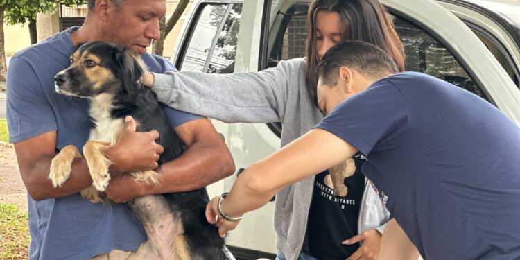 Vigilância em Zoonoses realiza vacinação antirrábica neste final de semana