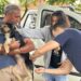 Vigilância em Zoonoses realiza vacinação antirrábica neste final de semana