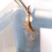 Catanduva promove mais uma mobilização contra o Aedes e escorpião neste sábado