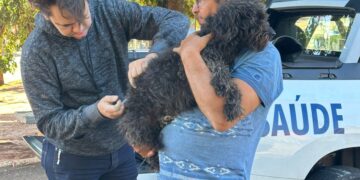 Saúde divulga calendário da vacinação antirrábica para o segundo semestre