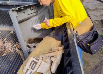 Carnaval sem dengue: EMCAa vai às ruas e reforça combate a criadouros