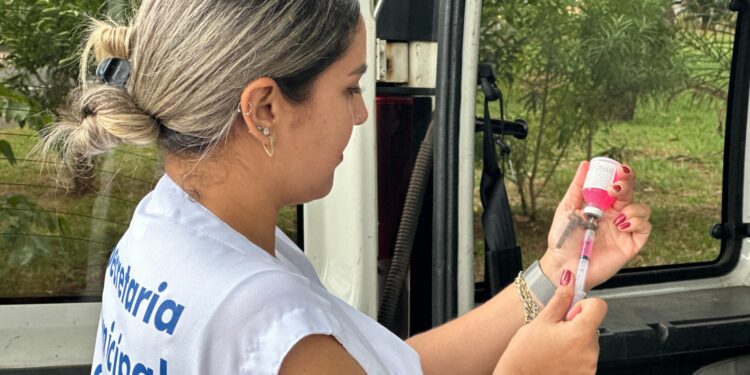 Prefeitura realiza vacinação antirrábica para cães e gatos neste fim de semana