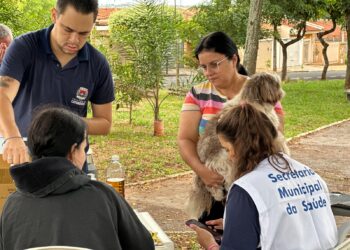 Vacinação de rotina conta raiva em cães e gatos é suspensa temporariamente no Estado de São Paulo