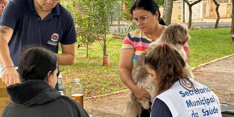 Vacinação de rotina conta raiva em cães e gatos é suspensa temporariamente no Estado de São Paulo