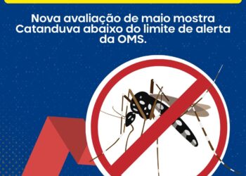 AEDES: CATANDUVA REGISTRA QUEDA NA DENSIDADE LARVÁRIA