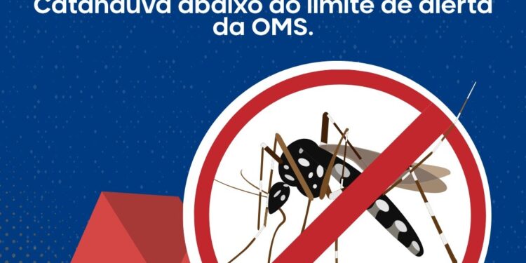 AEDES: CATANDUVA REGISTRA QUEDA NA DENSIDADE LARVÁRIA